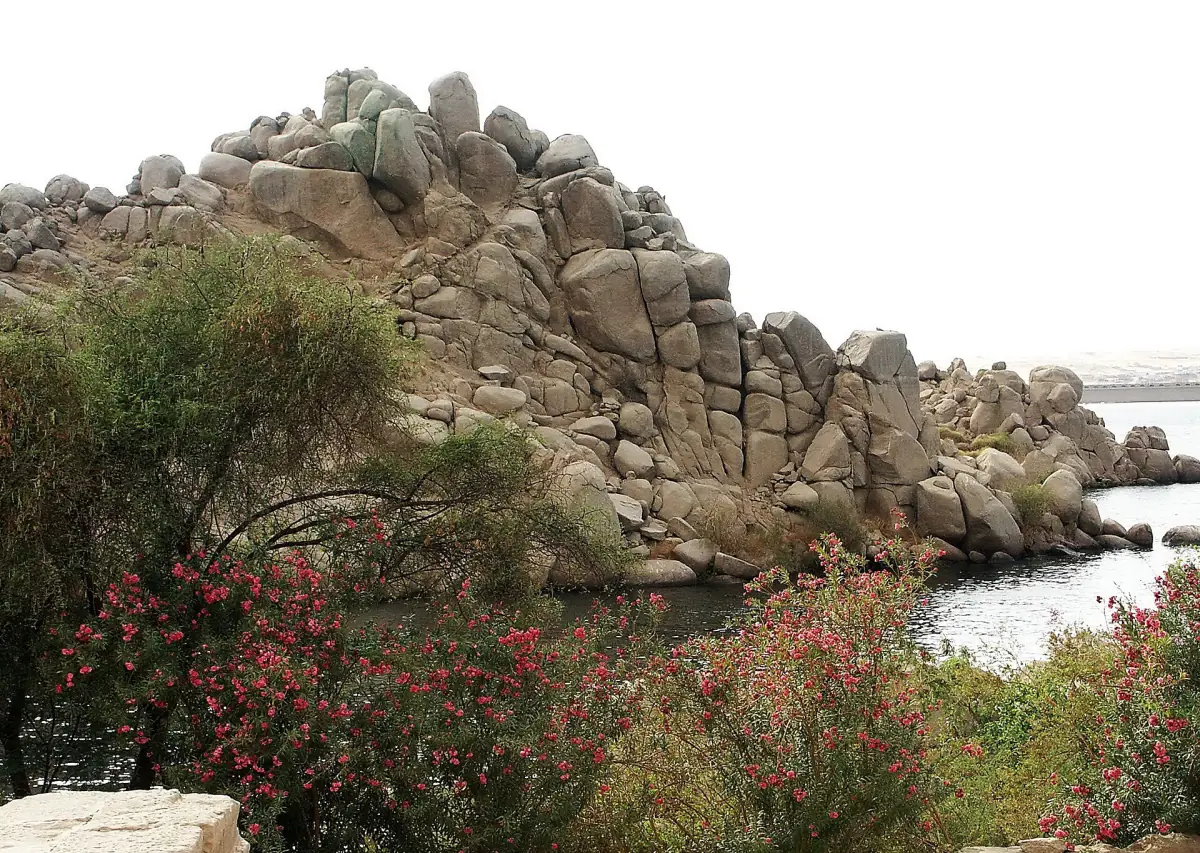 Granite boulders and oleander on Agilkia Island by the water