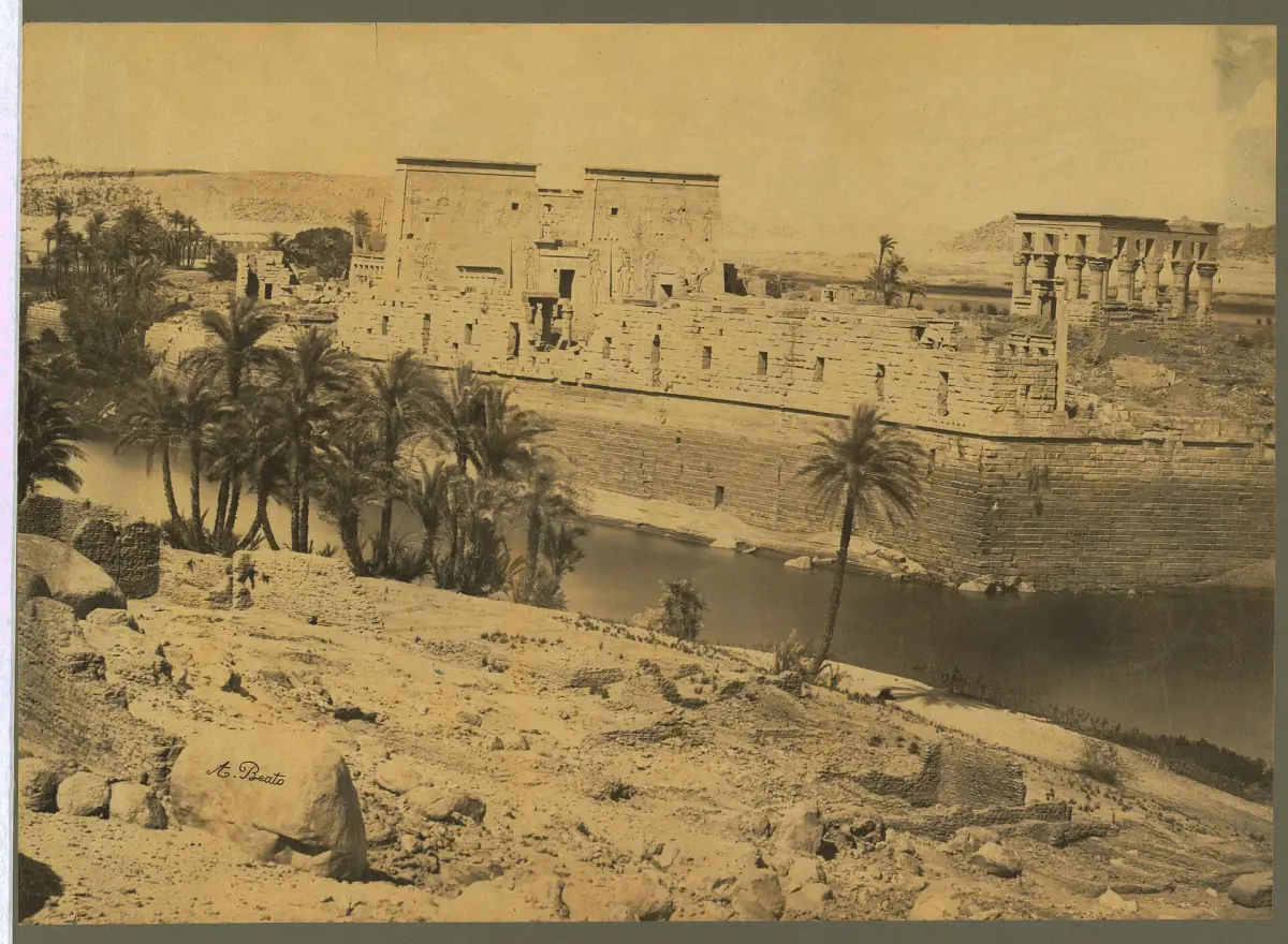 Historic photograph of Philae temples among palm trees