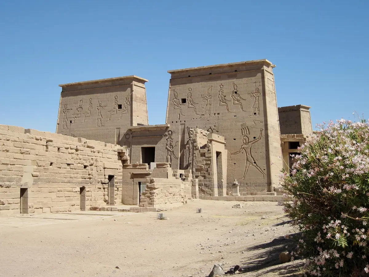Pylônes du temple de Philae derrière un laurier-rose en fleurs